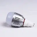 MerschMediaRental7081.webp