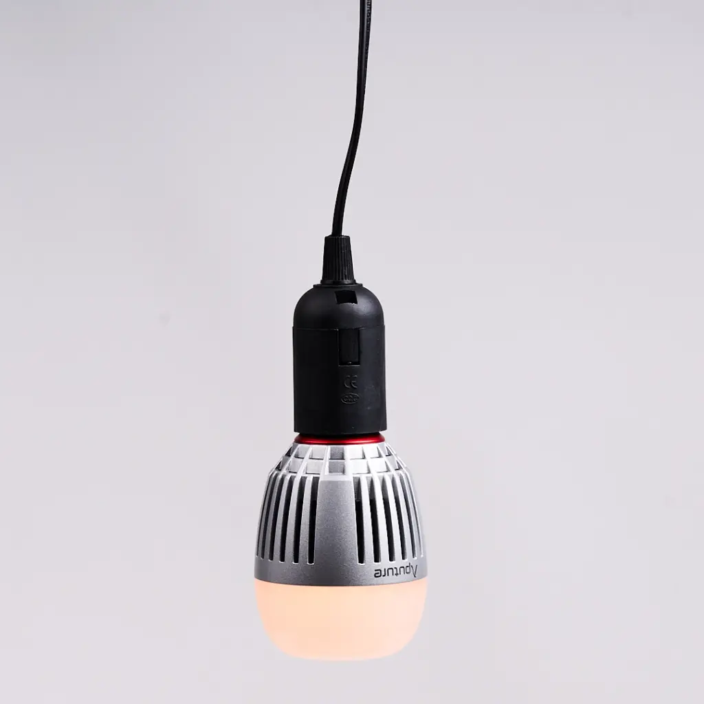 MerschMediaRental7077.webp